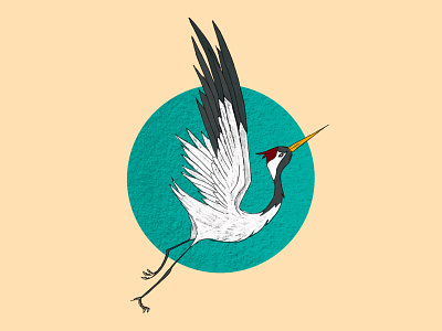 Crane in flight bird crane design digital illustration digital painting illustration illustration art