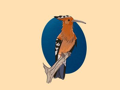 Whoopoe bird design digital illustration digital painting hoopoe illustration illustration art
