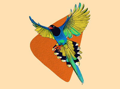 Exotic Bird in flight bird design digital illustration digital painting exotic illustration illustration art