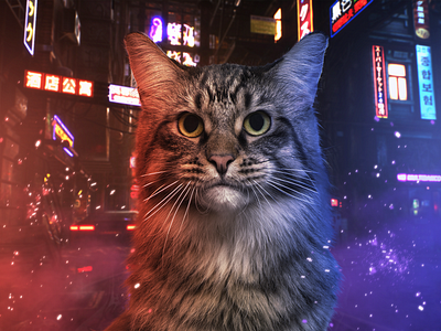 Neon Cat/Cyberpunk Cat