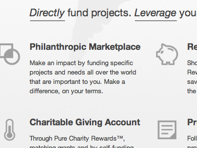 Pure Charity Features copywriting features homepage pictos