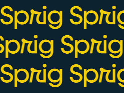 Sprig - Dribbble Video Ad dribbble ads user research ads ux design ads video ads