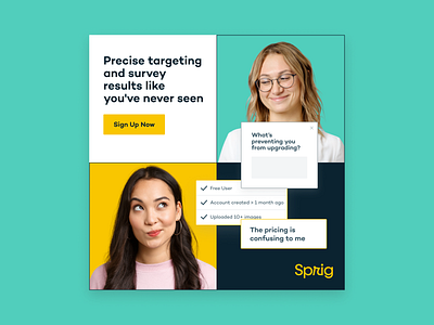 Sprig - Social Media Ads instagram ads
