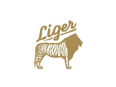Liger gold icon illustration liger lion logo mark tiger
