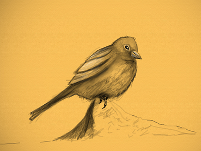 World Sparrow day bird digital art photoshop quick art save save sparrow sketch sparrow wings