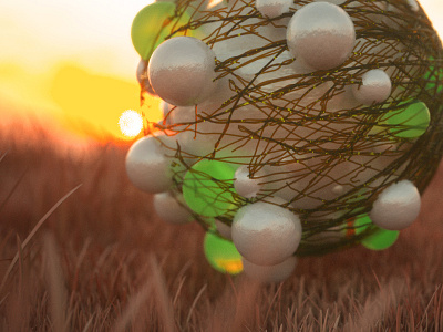 Sunset Grass 3d