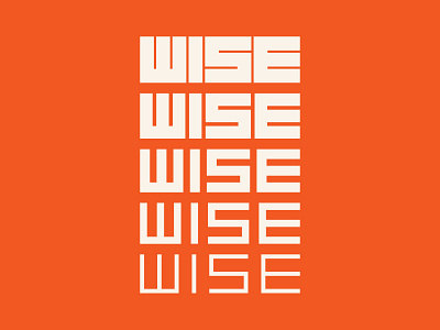 WISE brand brand identity branding logo logo design logo designer logo identity simple type type design typography
