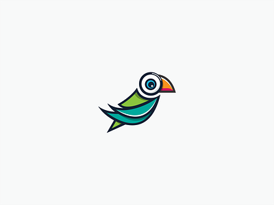Parrot logo design branding design graphic design icon illustration logo vector