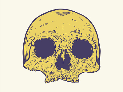 First Vector Skull death draw illustration skull vector wacom