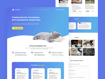 WEB design: landing page animal animals design figma hotel hotels landing landing page pet pets service site ui ux web web design website