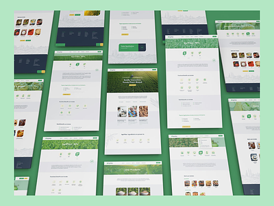 AgriFiber Website Design