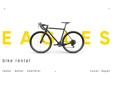 Eagles - Bike Rental. 3d brand identity branding design digital golden ratio graphic design illustration illustrator logo logo design motion graphics poster presentation social media typography ui ux vector web