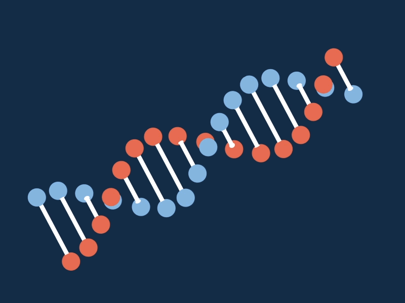 DNA (.aep source attached) 2d aep animation dna gif helix infographic medical template