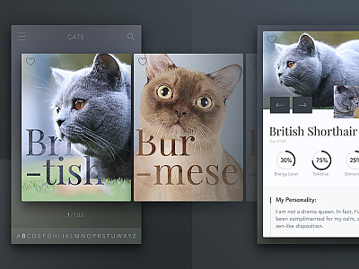 Cats iOS app app arrow chart favourite image info ios mobile slider