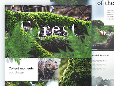 Forest design elegant home landing minimal modern page ui ux web