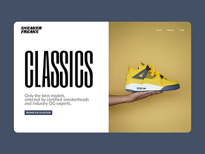 Sneakers Blog Web Concept
