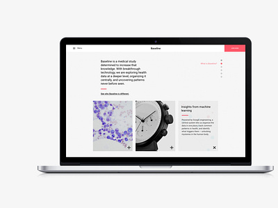 Baseline Website 1 Slides