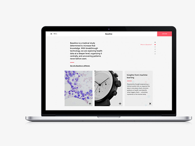 Baseline Website 1 Slides