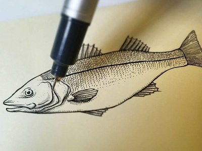 Fishing doodle fish ink life moleskine nature ocean sketch