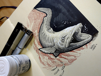 Barracuda barracuda doodle fish fishing gouache illustration ink moleskine sketch