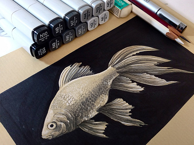 Carassius arautus copic doodle fish goldfish handmade illustration ink marker nature sketch