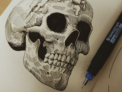 Skull bones candle crosshatching hand made illustration ink lines skull staedtler