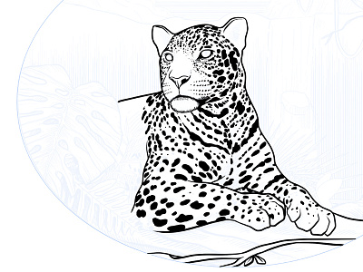 Jaguar animal florest illustration ink jaguar nature package plants waterfall