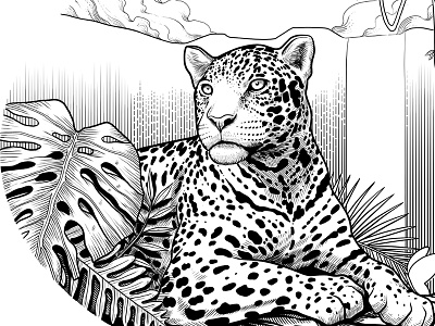 Jaguar animal florest illustration ink jaguar nature package plants waterfall