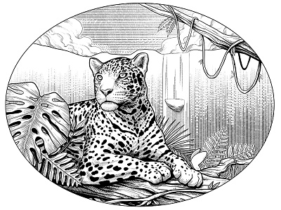 Jaguar Label animal florest illustration ink jaguar nature package plants waterfall