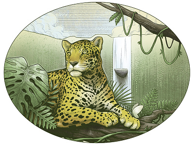Colors animal florest illustration ink jaguar nature package plants waterfall