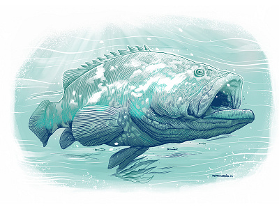 Mero (painting) crosshatch fish fishing illustration ink nature ocean proprocreate sea underwater ïpad
