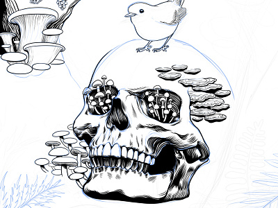 Mushroom Robin bird forest illustration ink mushroom plants robin skeleton skull woods