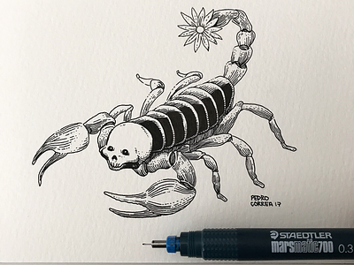 Scorpion flower handmade ink inktober moleskine scorpion skull
