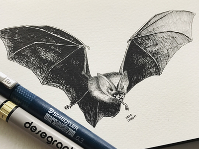 Bat bat illustration ink inktober inktober2017 moleskine