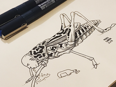 Hangover cricket drawing grasshopper illustration ink moleskine sketch sketchbook