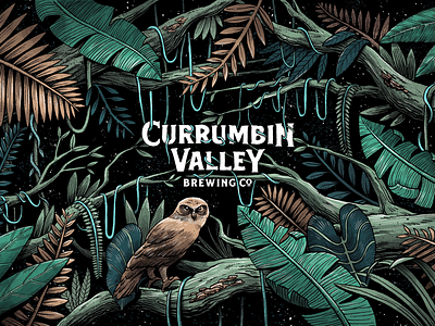 Currumbin Valley