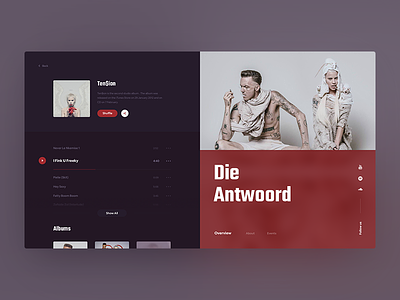 Die Antwoord - Ten$ion Album antwoord app design die mamulashvili music product tato typography ui ux web