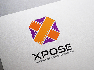 Xpose 2d logo brand corporate design idea identity letter x logo template