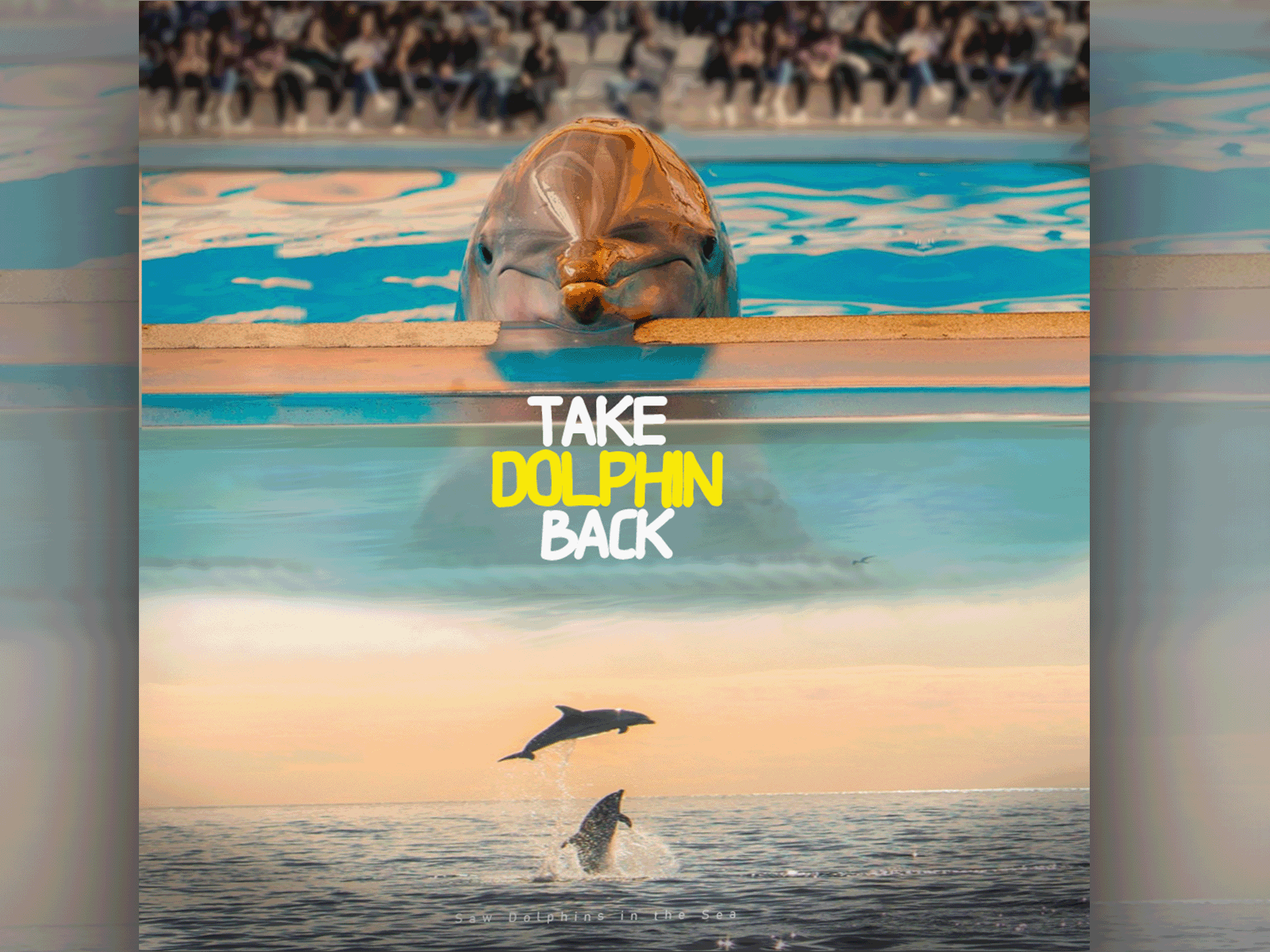 Take Dolphin Back poster poster design