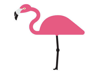 Minimal 137 flamingo illustration minimal minimals vector yearofminimals