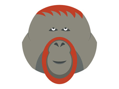 Minimal 147 illustration minimal minimals monkey orangutan vector yearofminimals