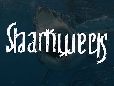 This ambigram bites... ambigram hand drawn hand lettering lettering shark sharkweek texture typography