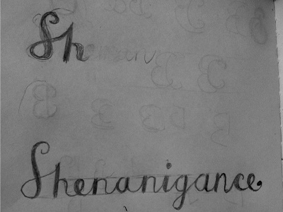 Shenanigance elegant hand lettering script shenanigance shenanigans typography