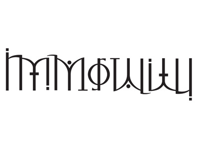 AIP - Ambigram In Progress