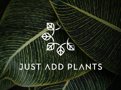 Just Add Plants botanical container decoration green handcraft interior lifestyle organic planter