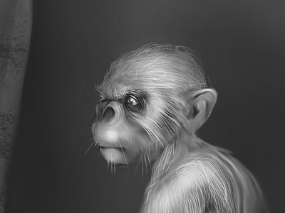The Monkey End Game-Illustrations david demirtshyan illustration monkey photoshop walker zack