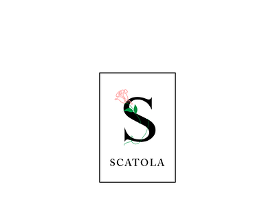 Scatola Logo branding graphic design logo