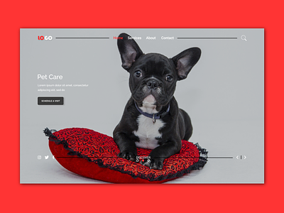 Hero- Landing page Design For pet Care. concept design design ui ui design web design