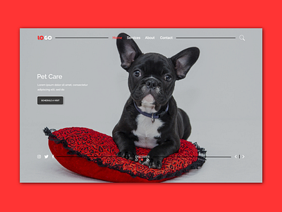 Hero- Landing page Design For pet Care.