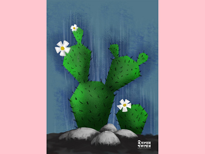 Cactus cactus cactus illustration digital design digital illustration